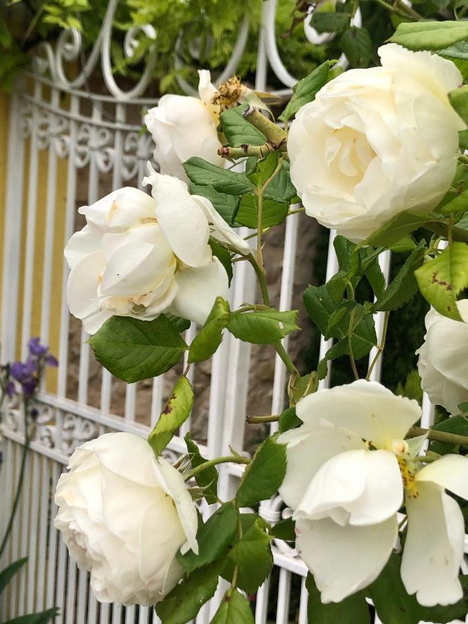 L'Ile Aux Fleurs Villa Ventabren Dış mekan fotoğraf